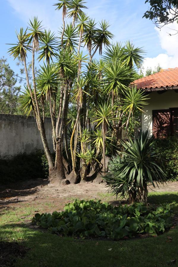 A Quinta Duna Salir de Porto Exteriör bild